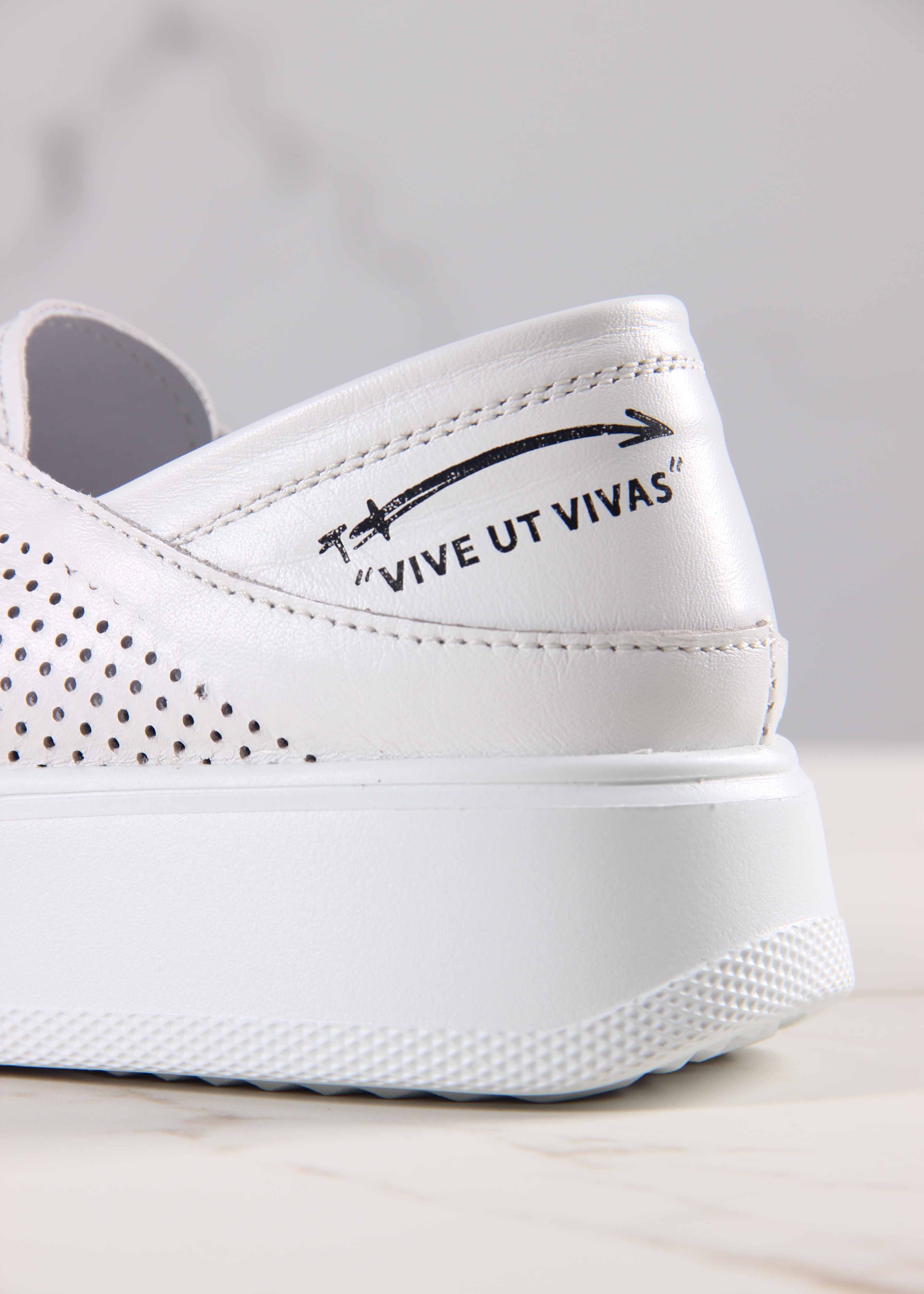 картинка Кеды ED'ART 163.P.LusiR2'w.Белый от интернет магазина