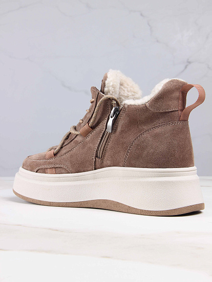 картинка Ботинки ED'ART 229.windy'be. Серо-коричневая замша от интернет магазина