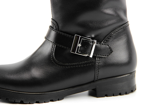 картинка Сапоги ED'ART 251.regina от интернет магазина