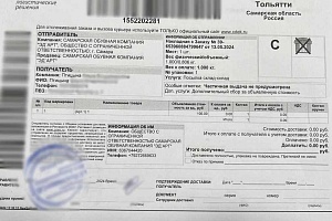 птицына-тольятти