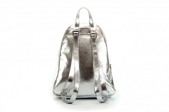 картинка Рюкзак ED'ART r01.silver от интернет магазина