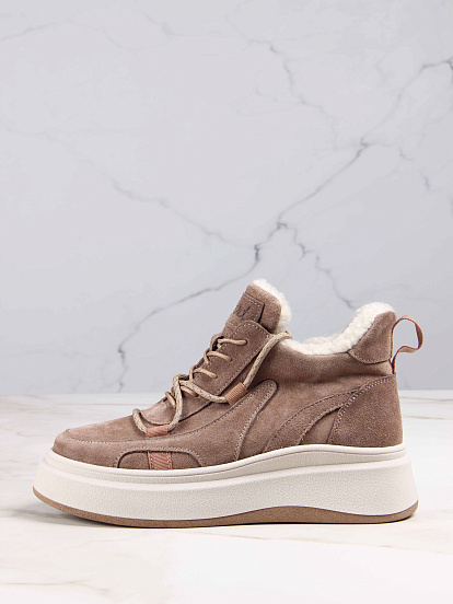 картинка Ботинки ED'ART 229.windy'be. Серо-коричневая замша от интернет магазина